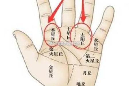 手相月丘得男财：揭秘财运亨通的秘密