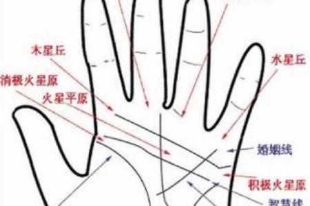 手相揭秘：艮宫向下支线暗示的重大运势转折