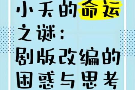 揭秘三等命：命运之谜，你了解多少？