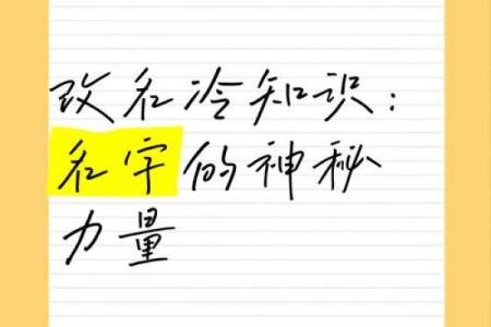 木字在名字中的神秘力量：如何选取最适合的搭配