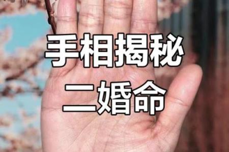 揭秘手相九大桃花：掌握命运，邂逅真爱