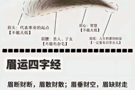 眉眼间距，揭示你的命运密码
