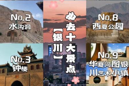银川取名的终极指南