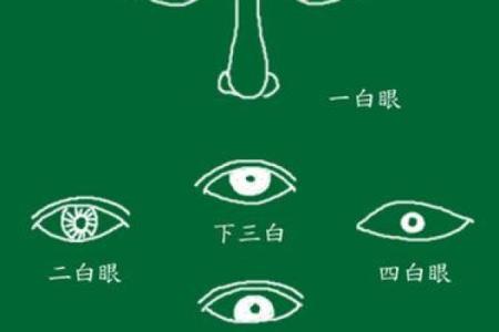 四百眼面相秘籍，揭秘面相中的神秘力量