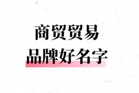 贸易公司起名全攻略：让你的品牌更具竞争力