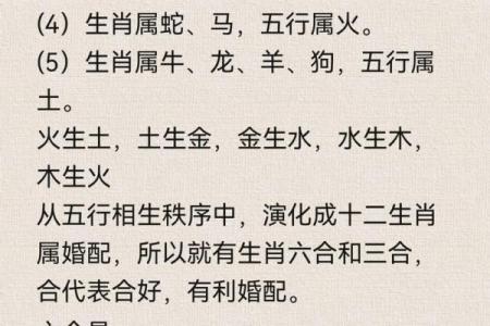 鼠鼠情深：探寻生肖鼠的黄金婚配组合