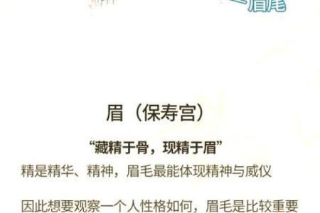 一眼识真伪，揭秘面相中的心理密码