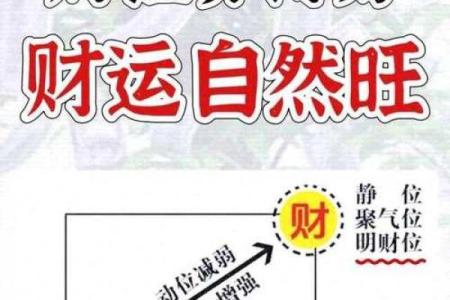 李洪成风水秘籍：一招助你财运亨通，家居风水焕然一新