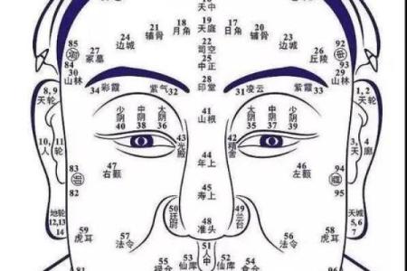 痣相分析大揭秘：准不准，真相在这里