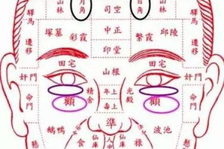 五官透露命运，揭秘面相背后的惊人秘密