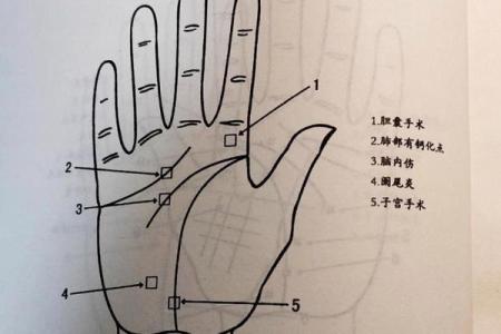 手相揭秘：米字纹事业线，预示着你将如何成就辉煌人生？
