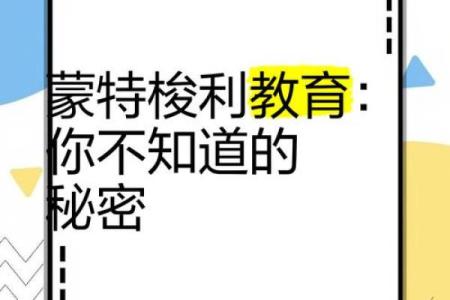 教育机构名称的秘密，轻松提升知名度与影响力