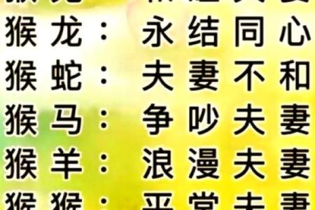 猴鸡相配，揭秘最佳伴侣法则
