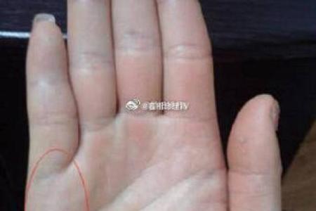 揭秘蝴蝶手相：神秘占卜还是骗局？