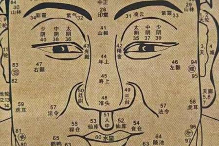 面相识人术：宽之说相痣，揭秘你的命运密码
