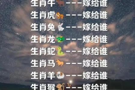 十二生肖女神秀：美丽生肖，魅力无限