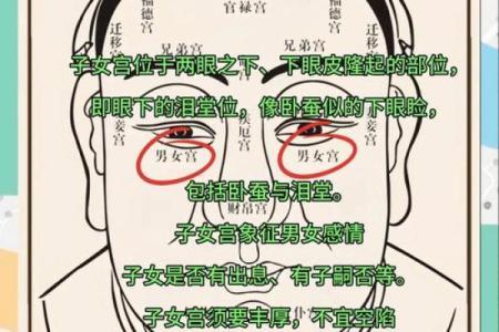 鬼额头面相揭秘：运势起伏，揭秘你的命运密码