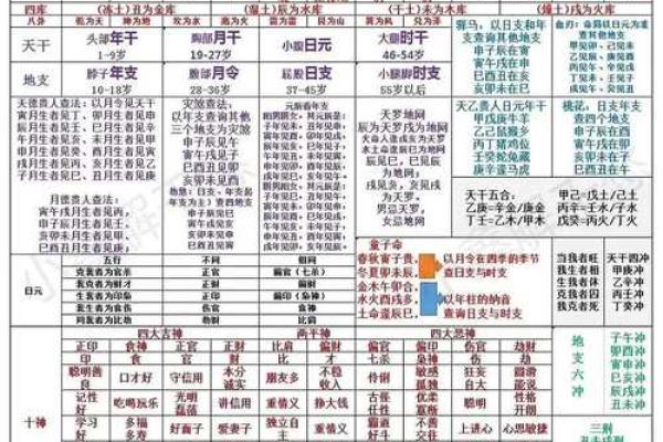 探索十天干藏地支的五行能量与命理意义