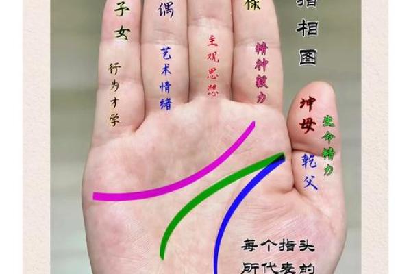 手相揭秘：小康与富翁，一触便知富贵命