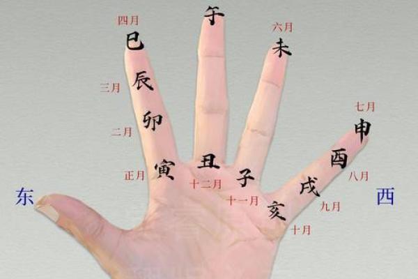 手相奥秘：一握之间，尽通天柱之力