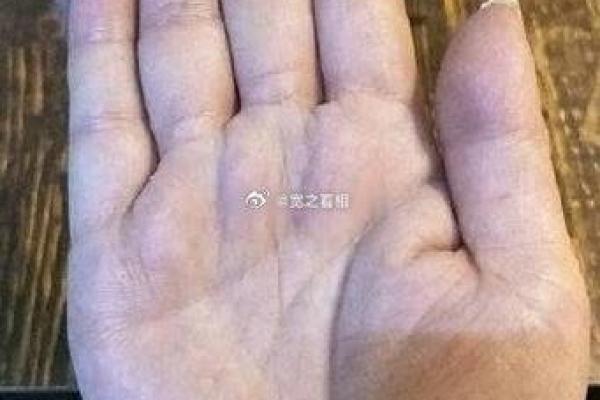 手相揭秘：小拇指两节预示着你的财运和健康