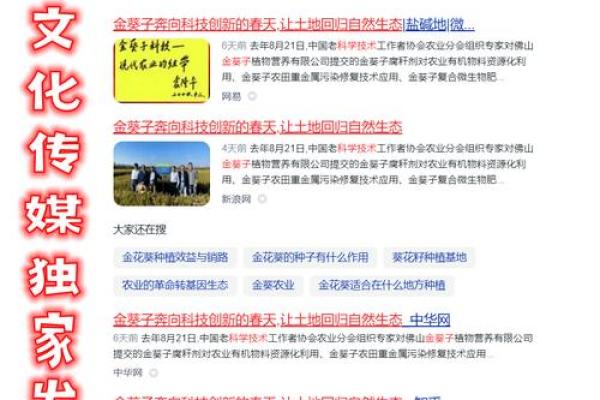 打造文化公司高端名，助力品牌腾飞