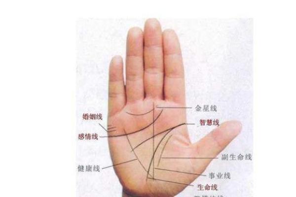 手相揭秘：一指之间，尽藏命运奥秘
