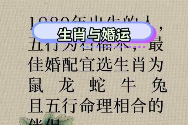 2016猴年运势大揭秘：生肖运势排行榜，你的运势如何？
