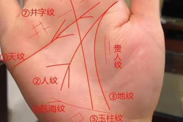 揭秘M学纹手相：掌握命运之谜，解锁人生轨迹