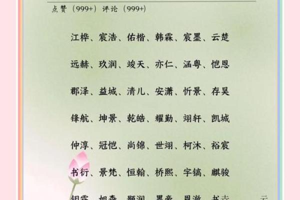 起名恺：给孩子起名的经典理论与实战技巧