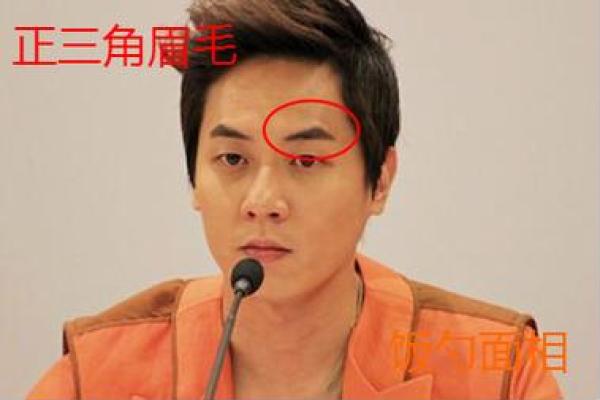 眉宇间藏富贵，角眉面相揭秘：如何一眼识出成功者