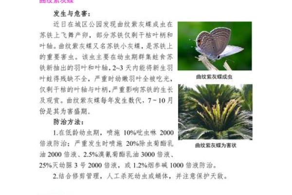 园林绿化公司起名的十大禁忌，错了后果严重