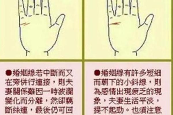 苦命女人手相揭秘：命运线、生命线揭示你的前世今生