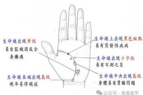 苦命女人手相揭秘：命运线、生命线揭示你的前世今生