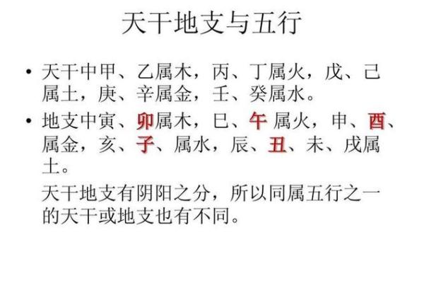 五行与天干地支的完美融合，掌握命运的密码