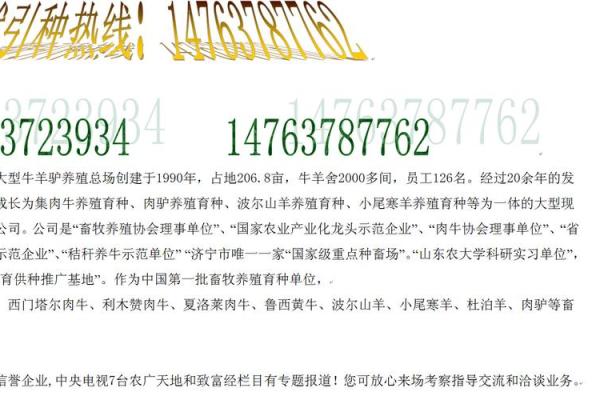 打造独特品牌！牛羊产品公司命名的秘诀大公开