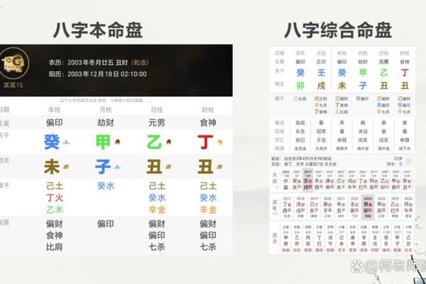 了解命理详批收费，给你人生带来全新启示