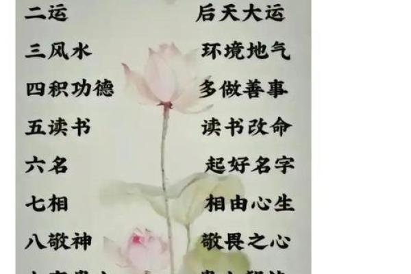 面相揭秘：梦中面相暗示着怎样的运势和人生走向？
