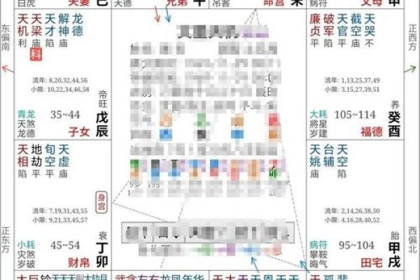 如何利用河洛派紫微斗数排盘走向成功与财富