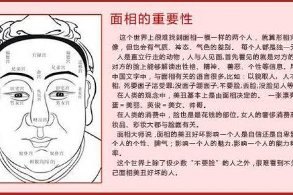 面相揭秘：男人面相中的婚姻密码，一眼看穿你的命运