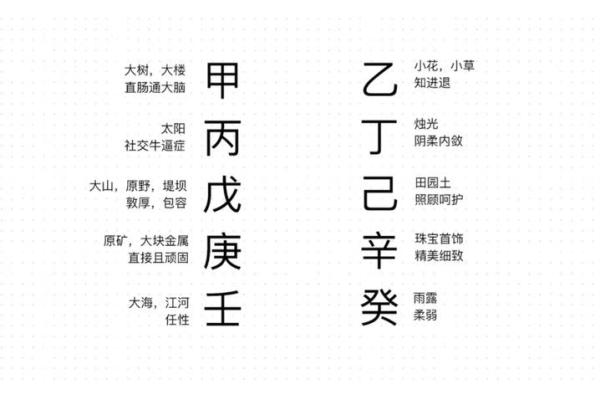 天干地支在中国传统文化中的深远影响
