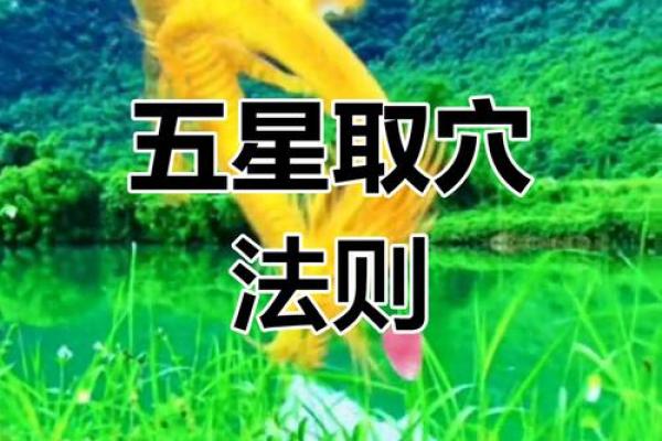 大学旁风水宝地，揭秘学子成才奥秘