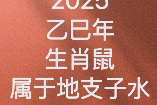 2023正月鼠：五行中的金鼠运势揭秘，财运亨通，好运连连