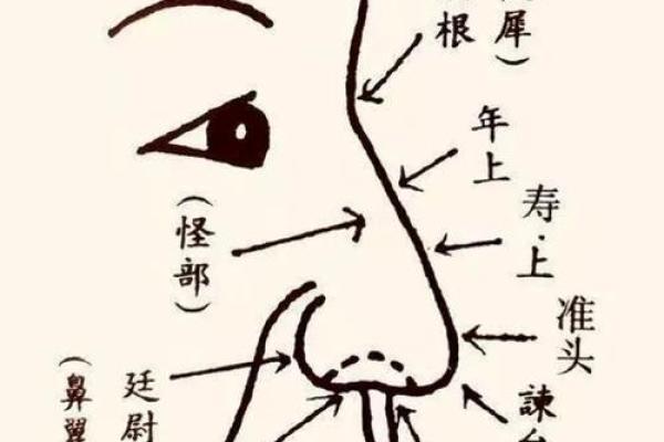 速眉面相揭秘：一眼看穿命运走向
