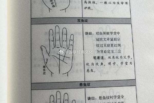 易经解密：揭秘手相中的命运密码，一招看透人生轨迹
