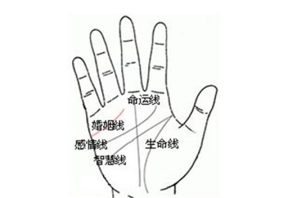 易经解密：揭秘手相中的命运密码，一招看透人生轨迹