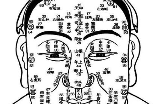 眉形决定命运：揭秘眉毛背后的神秘面相奥秘