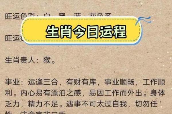 90期生肖风云，财运亨通，揭秘生肖运势新趋势