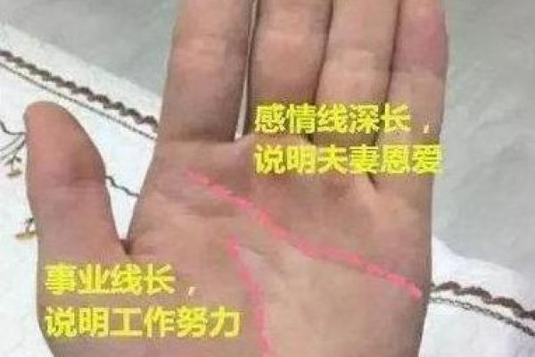 女人手相揭秘：看手相，预知生育能力，准到不可思议