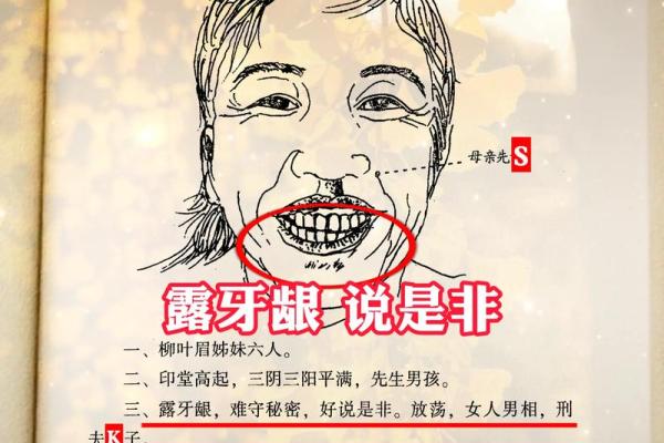 揭秘海外宫面相：一窥面相中的神秘力量